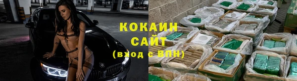 кокс Корсаков