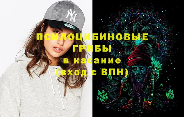 хмурый Козловка