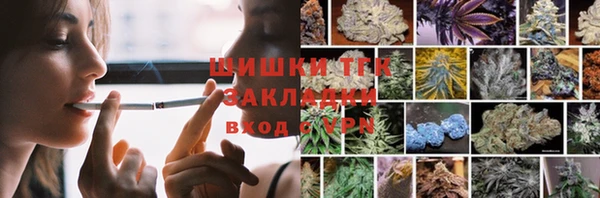 apvp Кукмор